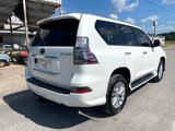 Used 2021 Lexus GX 460 Premium w/ Premium Package image 5
