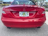 Used 2014 Mercedes-Benz SLK 250 w/ Premium Package image 5