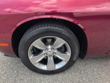 Used 2019 Dodge Challenger SXT image 2