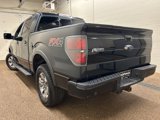 Used 2013 Ford F150 FX4 w/ Luxury Equipment Group image 4