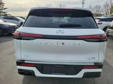 New 2025 INFINITI QX60 Pure w/ Cargo Package image 6