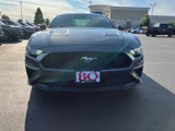 Used 2019 Ford Mustang Coupe w/ Equipment Group 101A image 2