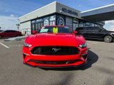 Used 2019 Ford Mustang Coupe image 2