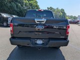 Certified 2019 Ford F150 XLT w/ Equipment Group 302A Luxury image 4