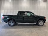 Used 2012 Ford F150 XLT w/ XLT Chrome Pkg image 2