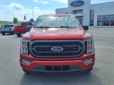 Used 2023 Ford F150 XLT w/ Equipment Group 302A High image 2