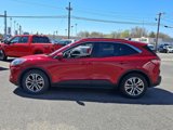 Certified 2022 Ford Escape SEL w/ Technology Package image 4