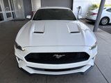 Used 2019 Ford Mustang Coupe w/ Equipment Group 101A image 2