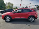 Certified 2022 Ford Escape SE w/ Cold Weather Package image 6