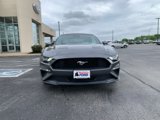 Certified 2021 Ford Mustang Premium w/ Equipment Group 201A image 2