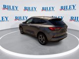 Certified 2024 Ford Escape ST-Line image 6