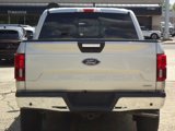 Used 2019 Ford F150 XLT w/ Equipment Group 302A Luxury image 4