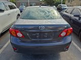 Used 2010 Toyota Corolla LE image 3