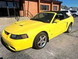 Used 2003 Ford Mustang Cobra image 2