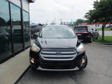 Used 2018 Ford Escape SE w/ Ford Safe & Smart Package image 3