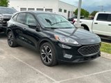 Used 2021 Ford Escape SE w/ SE Sport Appearance Package image 2
