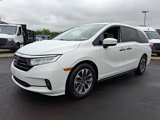 Used 2021 Honda Odyssey EX-L image 3
