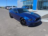 Used 2014 Ford Mustang Coupe w/ Equipment Group 102A image 2
