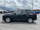 Used 2019 Toyota RAV4 XLE image 2
