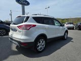 Used 2015 Ford Escape Titanium image 3