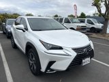 Used 2020 Lexus NX 300h AWD w/ Premium Package image 4