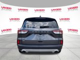 Used 2020 Ford Escape SE image 4