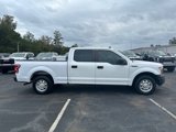 Used 2020 Ford F150 XL w/ XL Power Equipment Group image 3
