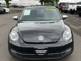 Used 2013 Volkswagen Beetle Turbo Fender image 2
