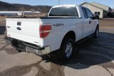 Used 2014 Ford F150 XLT w/ Equipment Group 301A Mid image 6