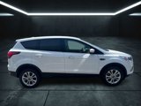 Used 2019 Ford Escape SE image 6