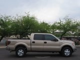 Used 2013 Ford F150 XLT w/ Mid Equipment Group image 3