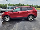 Used 2019 Ford Escape SEL image 4