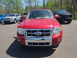 Used 2011 Ford Escape Limited w/ 302A Rapid Spec Order Code image 2