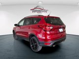 Used 2019 Ford Escape SE image 5