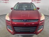 Used 2014 Ford Escape SE w/ Equipment Group 201A image 2