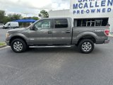 Used 2013 Ford F150 XLT w/ Luxury Equipment Group image 3