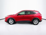 Used 2020 Ford Escape SE image 4