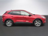 New 2025 Ford Escape ST-Line w/ Tech Pack #1 image 4