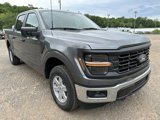 New 2025 Ford F150 XL w/ Equipment Group 103A High image 3