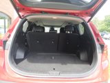 Used 2023 Hyundai Santa Fe SEL w/ Premium Package image 5