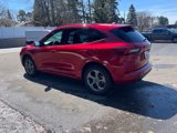 Used 2024 Ford Escape ST-Line image 4