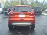 Used 2019 Ford Escape SE image 5
