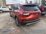 Used 2020 Ford Escape SEL image 3