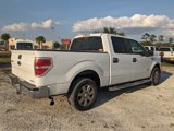 Used 2014 Ford F150 XLT w/ XLT Chrome Package image 4