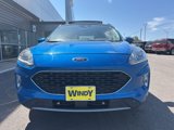 Used 2020 Ford Escape SEL image 2