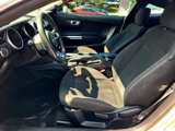 Used 2021 Ford Mustang Coupe w/ Black Accent Package image 3