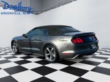 Used 2017 Ford Mustang Convertible w/ Equipment Group 051A image 3