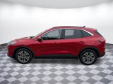 Used 2022 Ford Escape SEL image 5