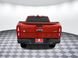 Used 2019 Ford Ranger XLT w/ Equipment Group 302A Luxury image 4