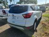 Used 2019 Ford Escape SE image 3
